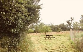 The Old Wood Store